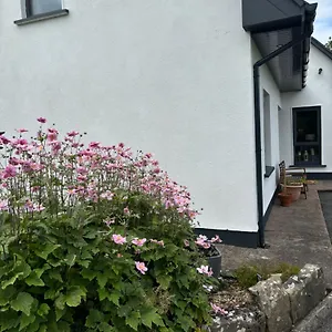  Holiday home Coastal Ireland